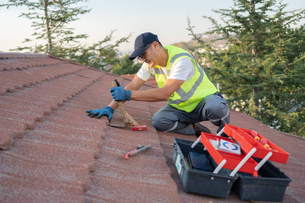 Best Roof Gutter Cleaning  in Utica, OH